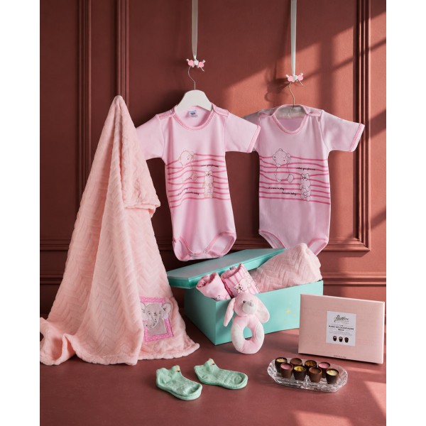 Hello Baby Girl Gift Hamper